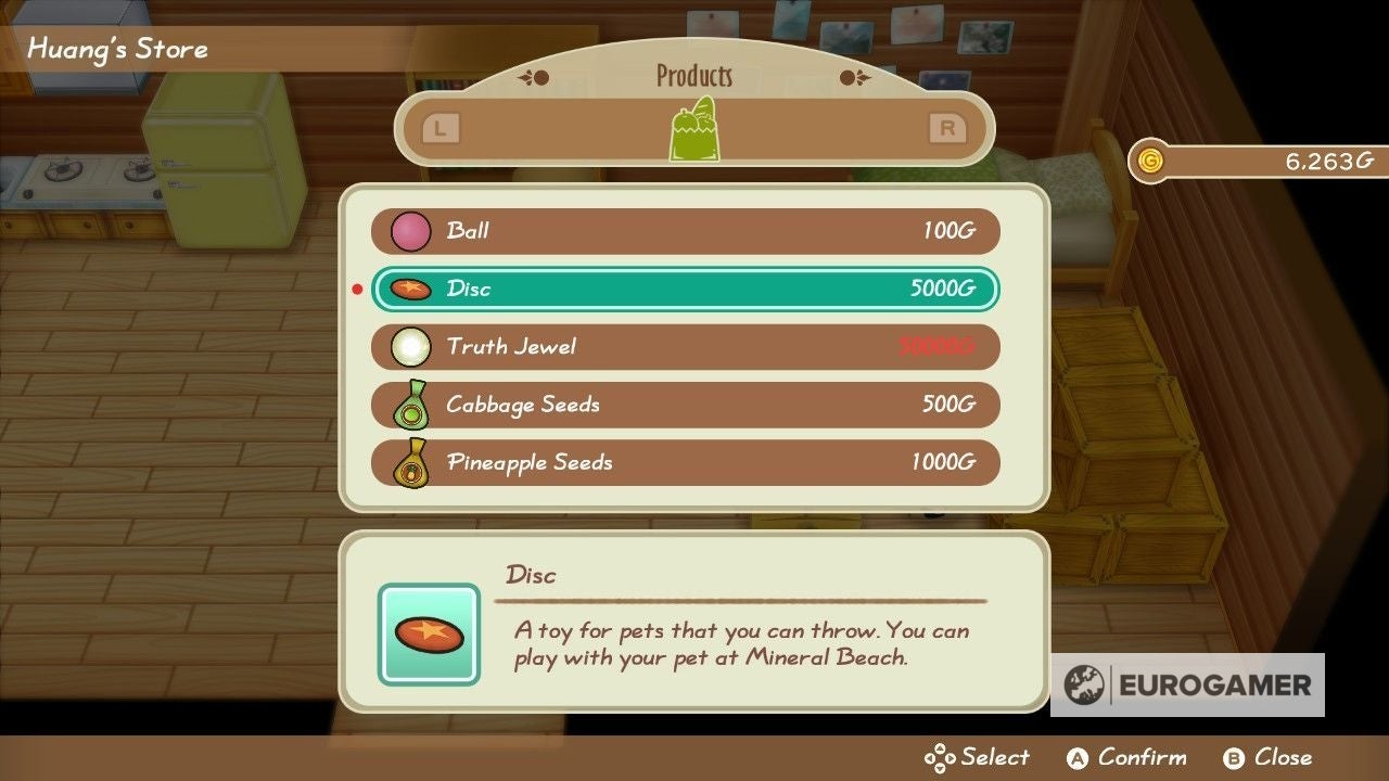 Story of Seasons Pets: Where to buy pets, Friendship Level and fetch in